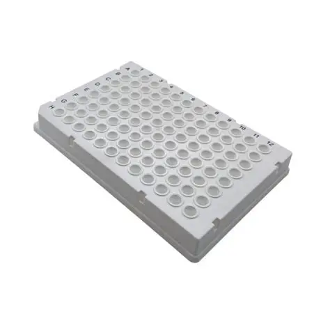 Thermo-Scientific 96-Well PCR Plate                                  #AB-0800W